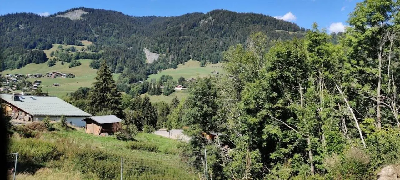 Edelweiss Villa Megeve